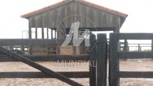 12 - Terreno/Lote