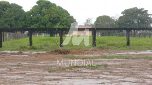 14 - Terreno/Lote
