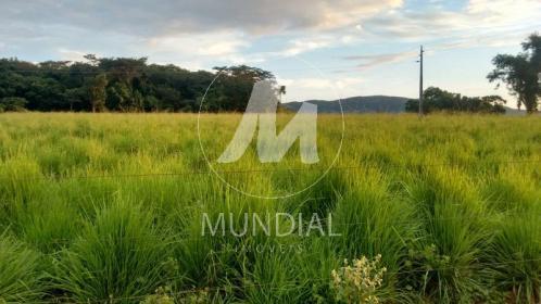 1 - Terreno/Lote