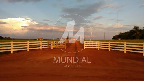 25 - Terreno/Lote