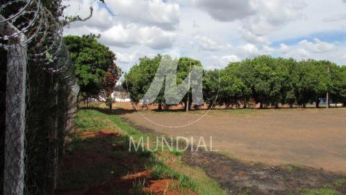 29 - Garagem/estacionamento
