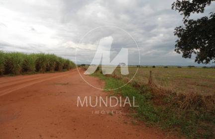 7 - Terreno/Lote