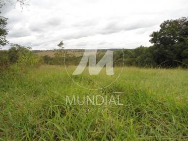 8 - Terreno/Lote
