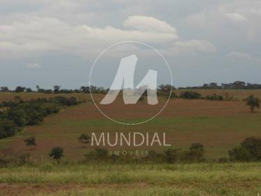 11 - Terreno/Lote