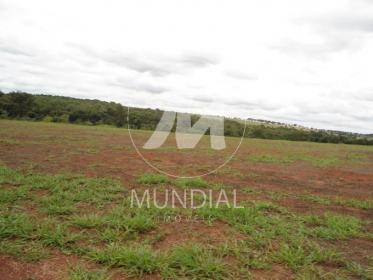 12 - Terreno/Lote