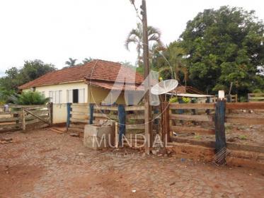 1 - Terreno/Lote