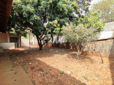19 - Quintal/corredores