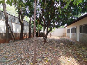 21 - Quintal/corredores