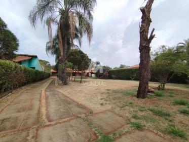 37 - Jardim