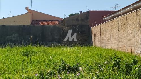 2 - Terreno/Lote