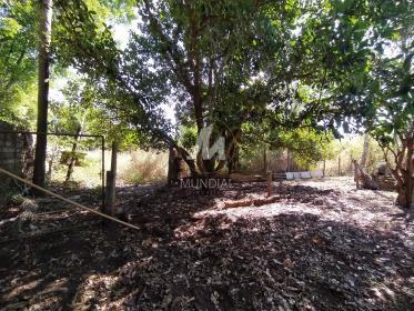 6 - Jardim