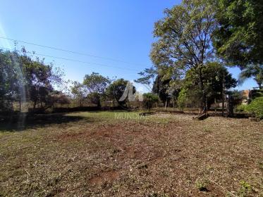 8 - Jardim
