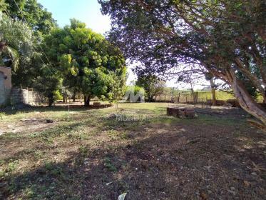 9 - Jardim