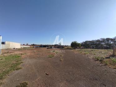 8 - Terreno/Lote