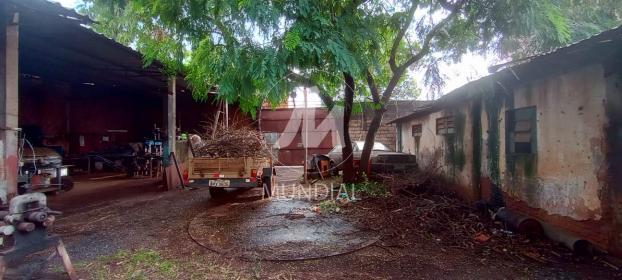 5 - Terreno/Lote