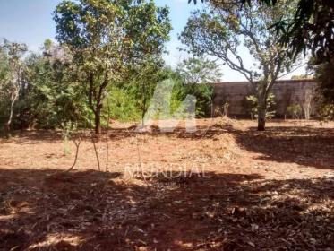 1 - Terreno/Lote