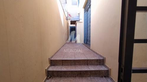 33 - Quintal/corredores