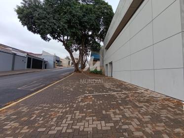 4 - Garagem/estacionamento