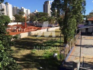 6 - Jardim