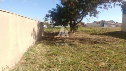 5 - Terreno/Lote