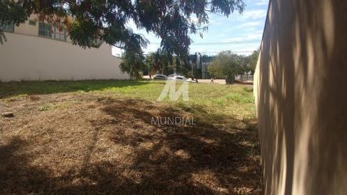 6 - Terreno/Lote