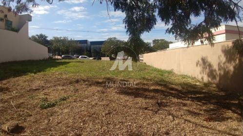 7 - Terreno/Lote