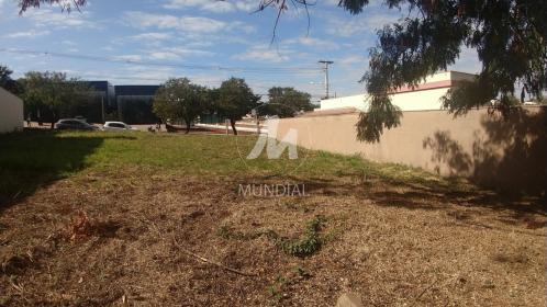 8 - Terreno/Lote