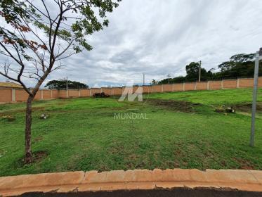 1 - Terreno/Lote