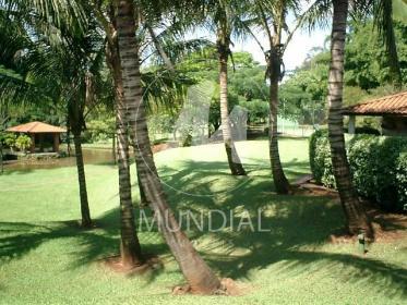 10 - Jardim