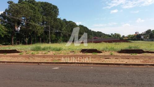 5 - Terreno/Lote