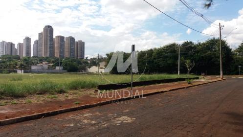 6 - Terreno/Lote