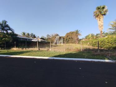 2 - Terreno/Lote