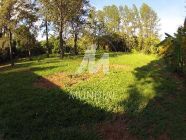 6 - Terreno/Lote