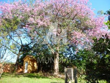 8 - Jardim