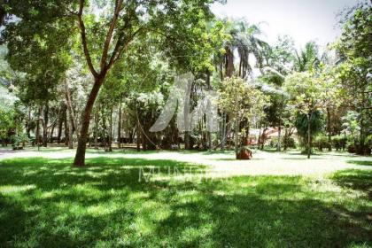 26 - Jardim