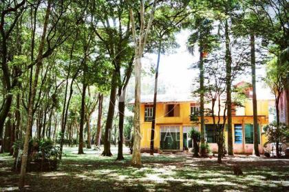 29 - Jardim