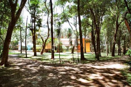 33 - Jardim