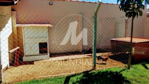 20 - Quintal/corredores