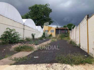 4 - Terreno/Lote