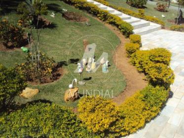 15 - Jardim