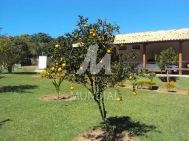17 - Jardim