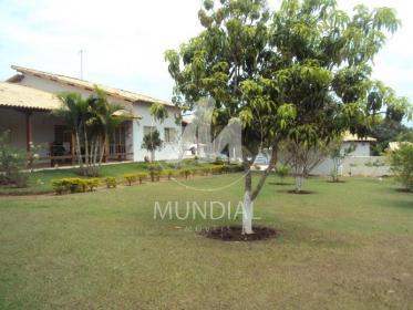 31 - Jardim