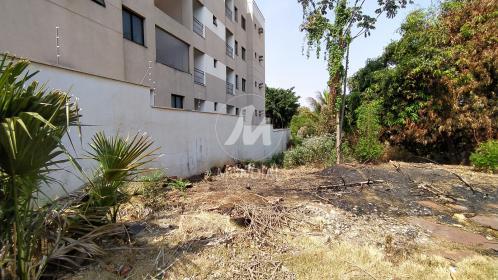 3 - Terreno/Lote