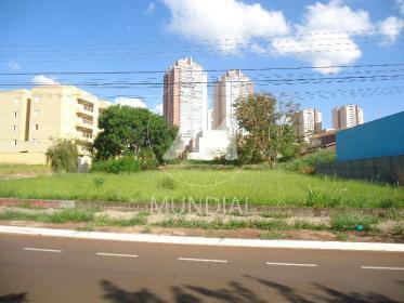 2 - Terreno/Lote