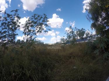 2 - Terreno/Lote