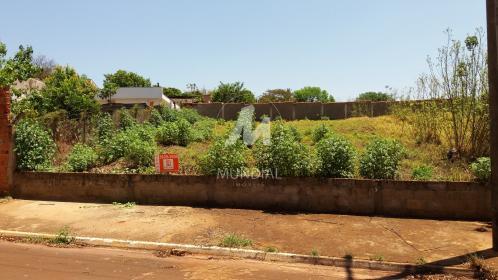 1 - Terreno/Lote