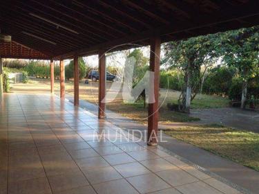 5 - Quintal/corredores