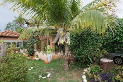 12 - Jardim