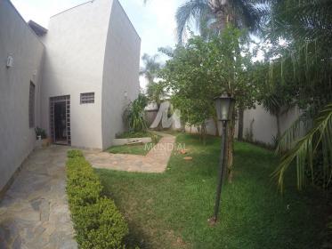 29 - Jardim