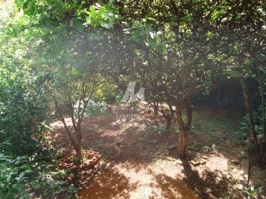 13 - Quintal/corredores
